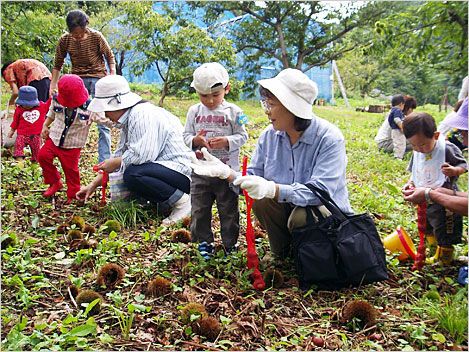 収穫の秋♪道の駅「月山」月山あさひ博物村「観光くり園」オープン！　2022.9.28