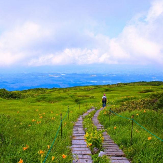 月山八合目　弥陀ヶ原散策