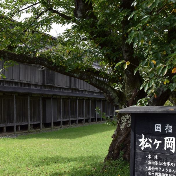 日本最大の養蚕群　サムライゆかりのシルク