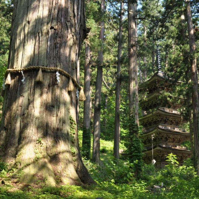 《女性の味方》羽黒山満喫コース