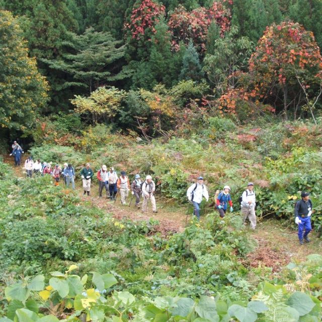 羽黒山　羽黒古道参拝コース