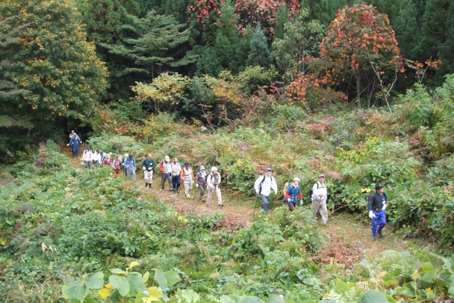 羽黒山　羽黒古道参拝コース