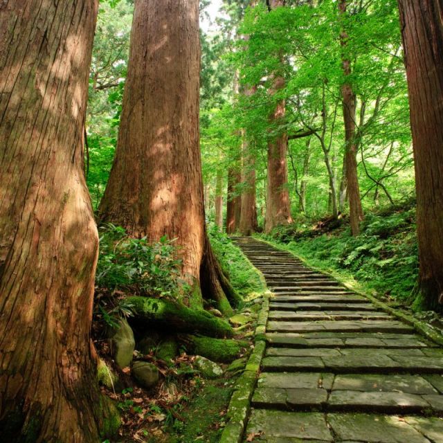 羽黒山参拝　半日コース