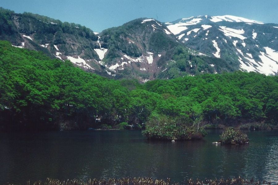 鳥海山登山　鶴間池トレッキングコース