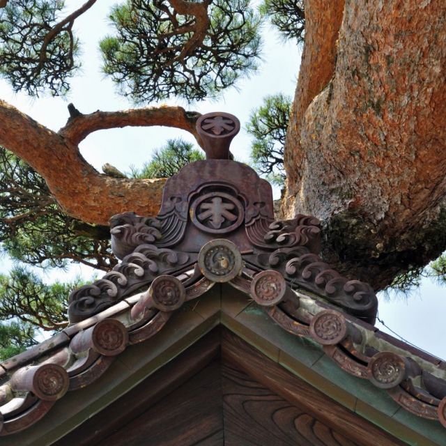 ＜ブラタモリコース1＞ 酒田繁栄の立役者 本間家ゆかりの地を巡る旅