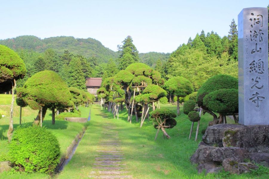 12番札所　總光寺　きのこ杉