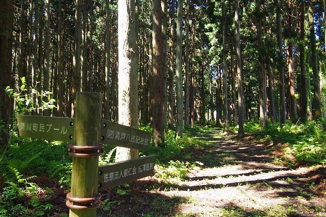 戊辰戦争清川口の戦い　古戦場の御殿林