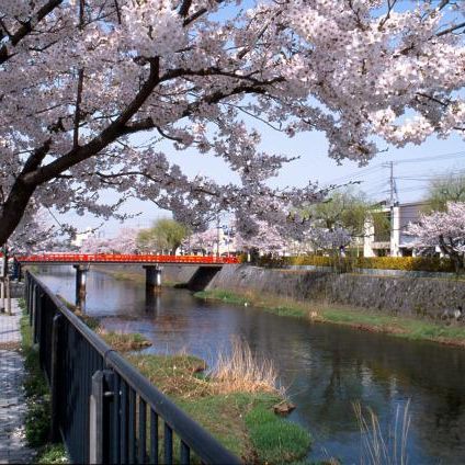 内川