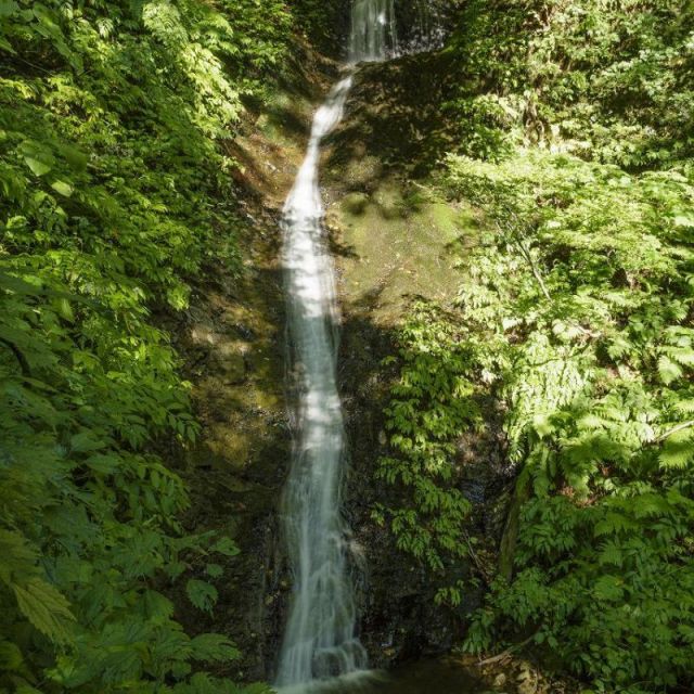 三ノ滝（鶴岡市）