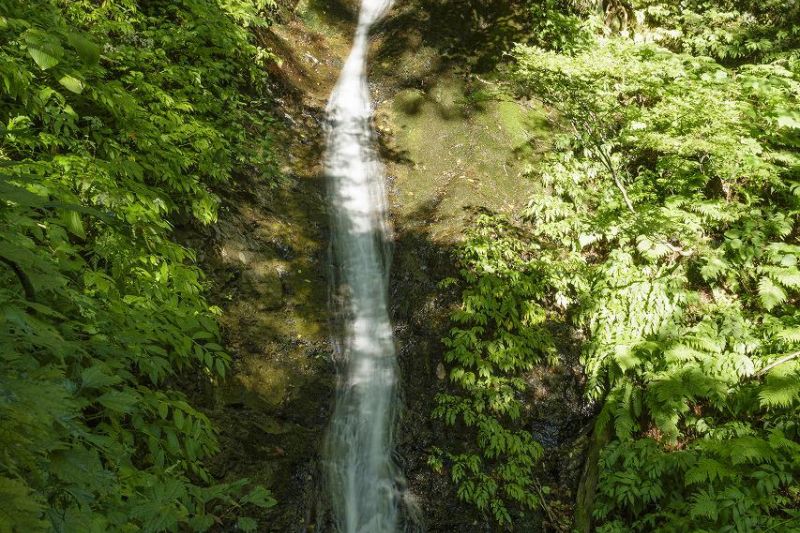 三ノ滝 鶴岡市 観光スポット やまがた庄内観光サイト 山形県庄内エリアの観光 旅行情報