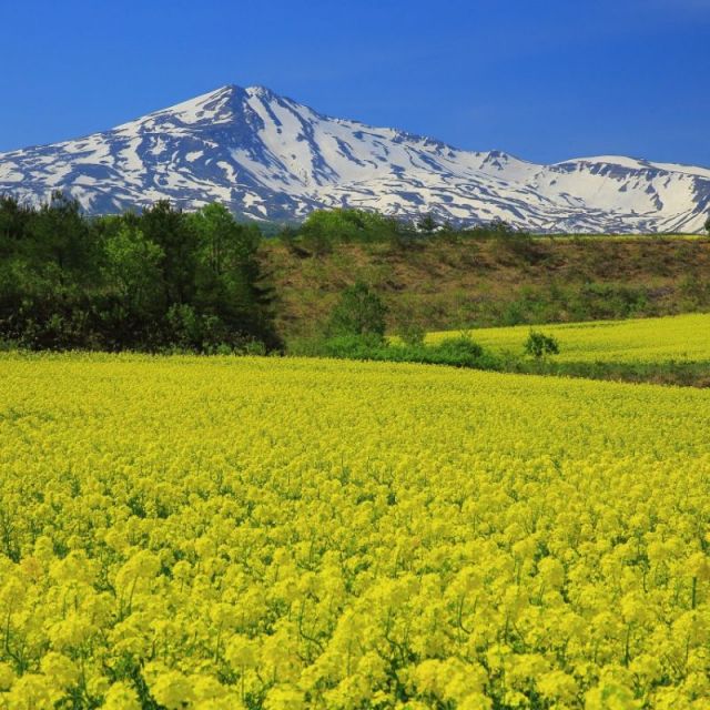 鳥海山