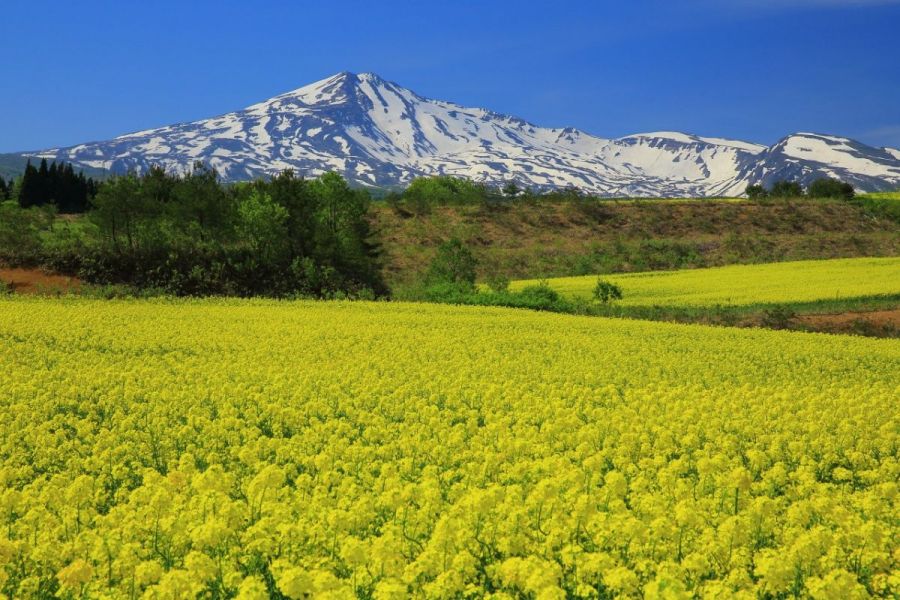 岡山県百名山 登山 遺跡 自然 物語 福山 金山 鷲羽山 蒜山 大山 絶版