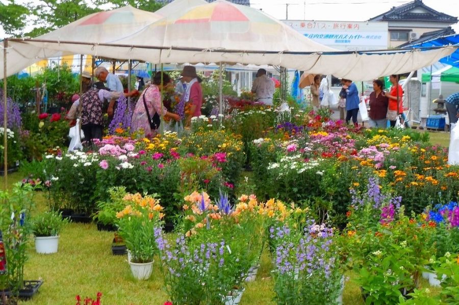 ひらた植木まつり イベント やまがた庄内観光サイト 山形県庄内エリアの観光 旅行情報