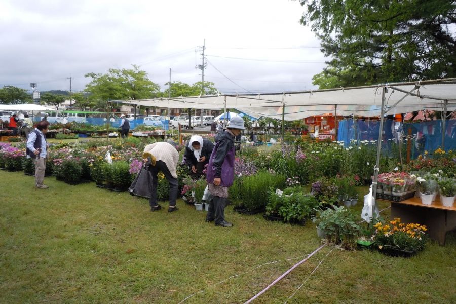 ひらた植木まつり イベント やまがた庄内観光サイト 山形県庄内エリアの観光 旅行情報