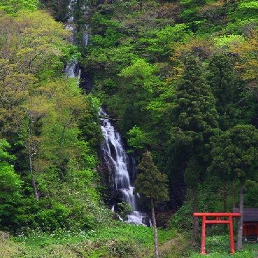 白糸の滝