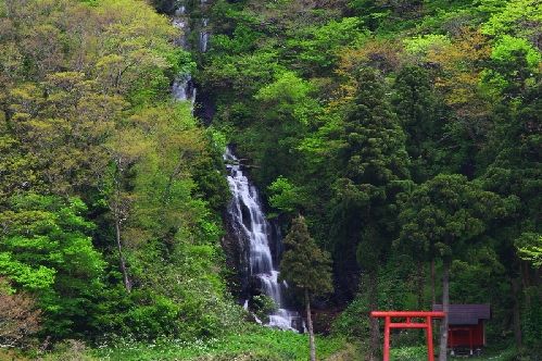 白糸の滝