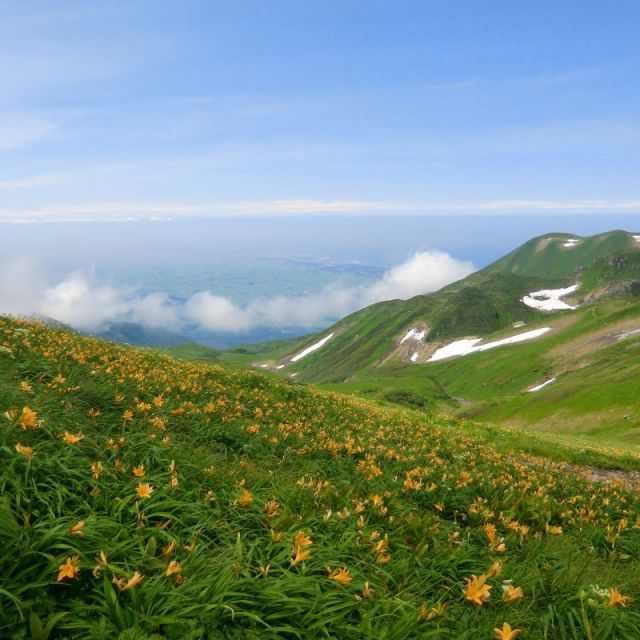 鳥海山お得タクシーパック