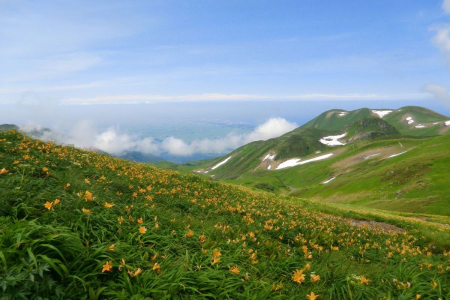 鳥海山お得タクシーパック