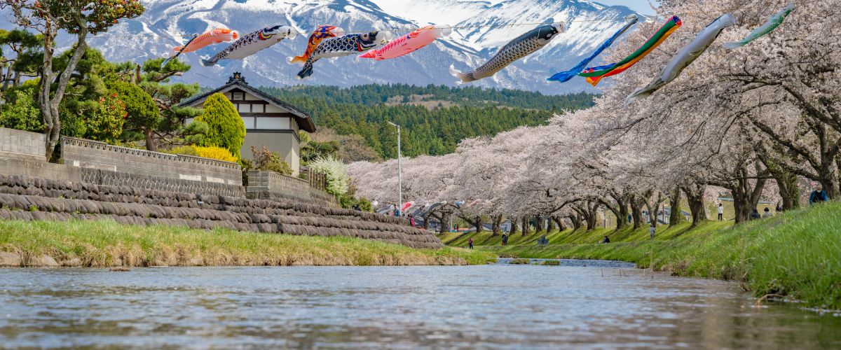 定番から穴場まで・・・桜名所めぐり｜モデルコース｜やまがた庄内観光サイト - 山形県庄内エリアの観光・旅行情報