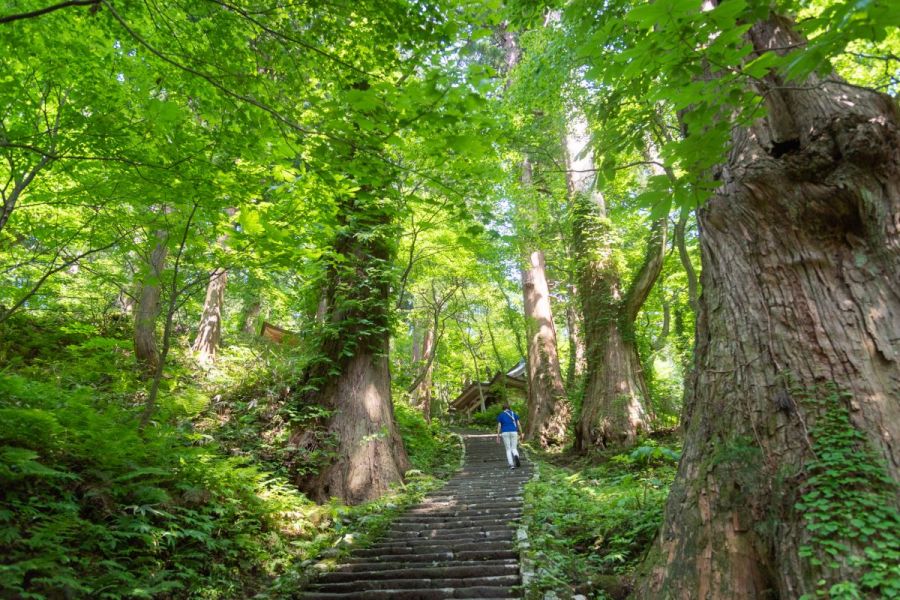 羽黒山 石段詣