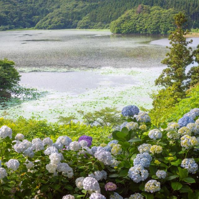 大山公園