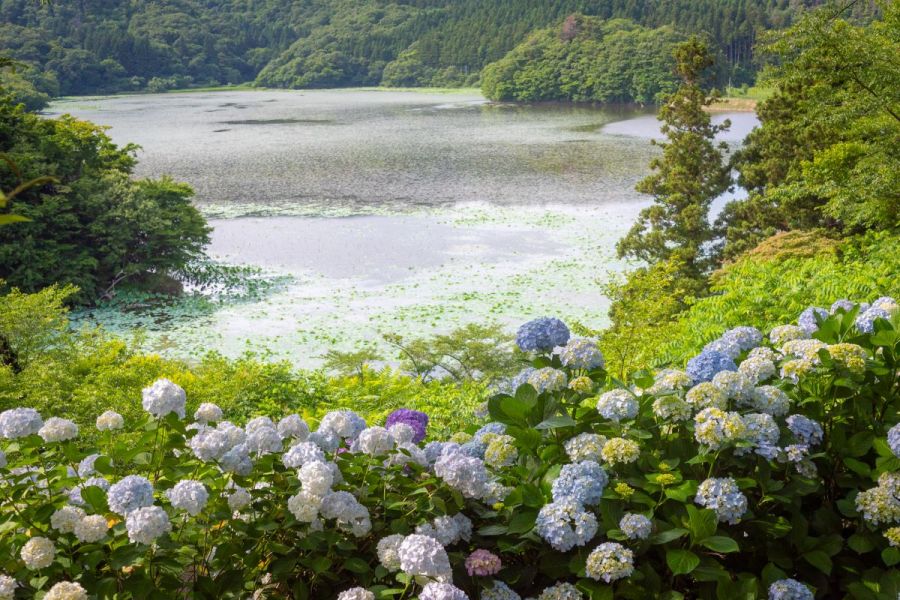 大山公園