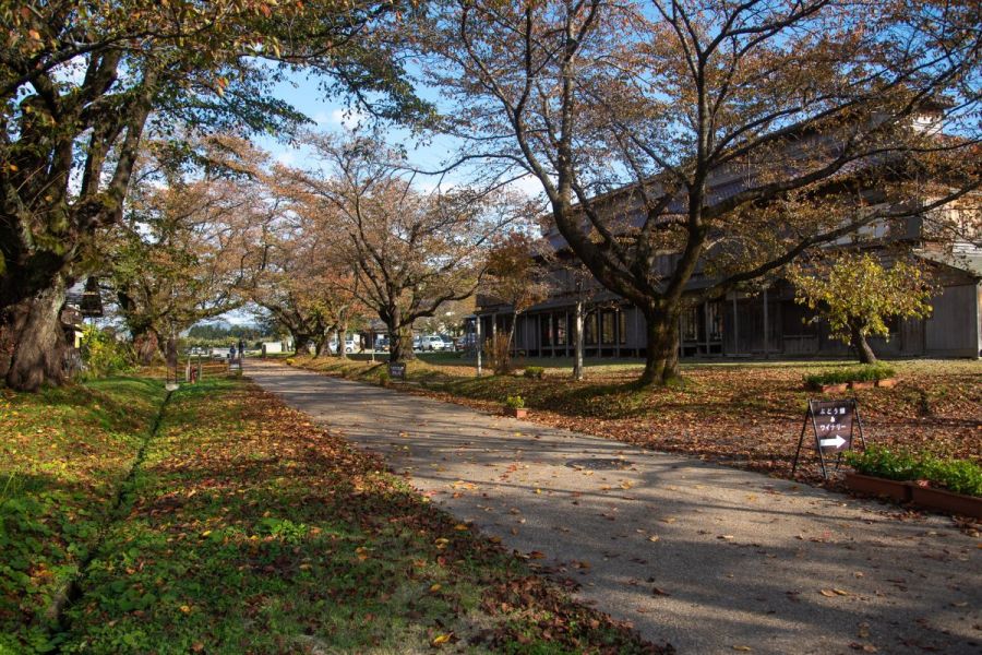 松ヶ岡開墾場