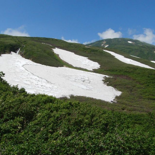 鳥海山乗合タクシー