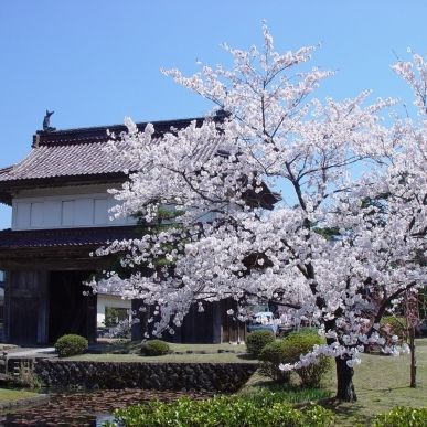 松山城大手門