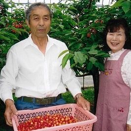 さくらんぼ狩り体験（齋藤衛）