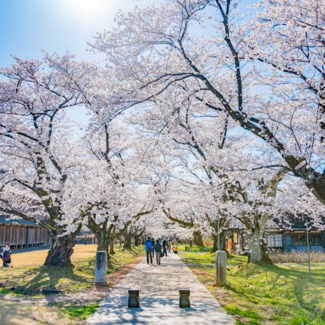 松ヶ岡開墾場