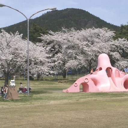 舞鶴公園桜のライトアップ(中止)