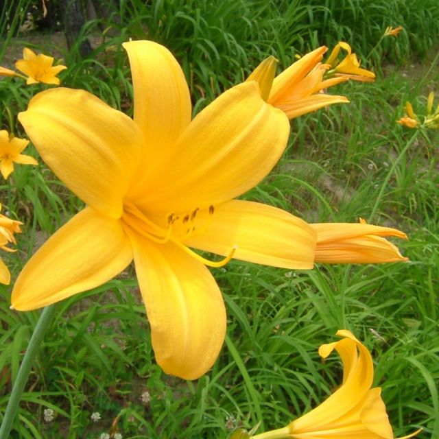 飛島の宿泊施設