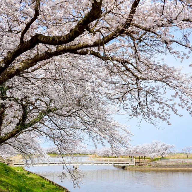 小出沼農村公園