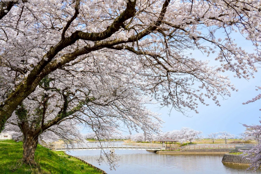 小出沼農村公園