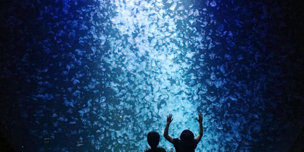 世界一のクラゲ水族館！東北エプソンアクアリウムかもすい