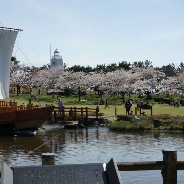 酒田日和山桜まつり