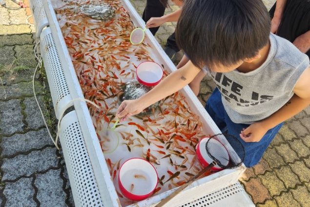 しょうない金魚まつり