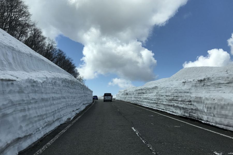 残雪