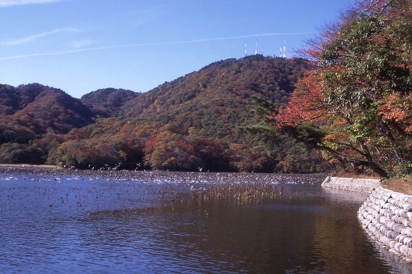 大山「上池」「下池」野鳥観察｜モデルコース｜やまがた庄内観光サイト 