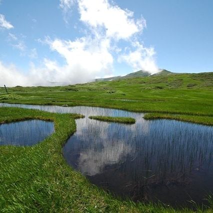 月山八合目　弥陀ヶ原