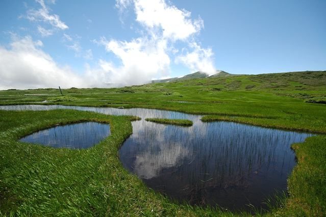 月山八合目 弥陀ヶ原 観光スポット やまがた庄内観光サイト 山形県庄内エリアの観光 旅行情報