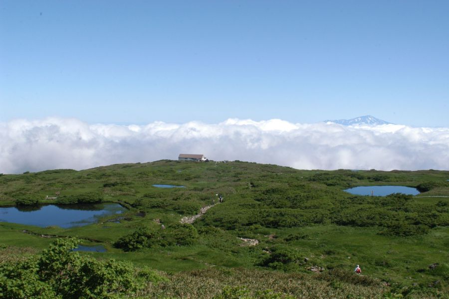 月山八合目 弥陀ヶ原 観光スポット やまがた庄内観光サイト 山形県庄内エリアの観光 旅行情報
