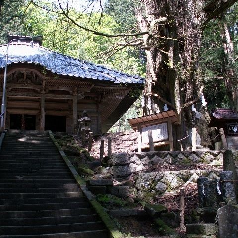 由豆佐売神社