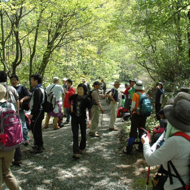 【2023年5月23日】温海岳開山祭～新緑のブナの森登山会～（春の登山会）