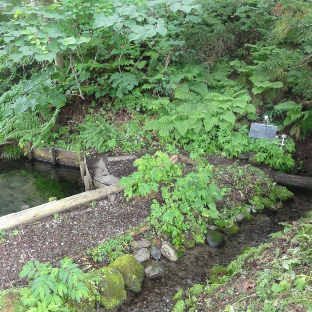 郷清水