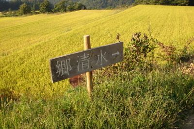 越沢の棚田