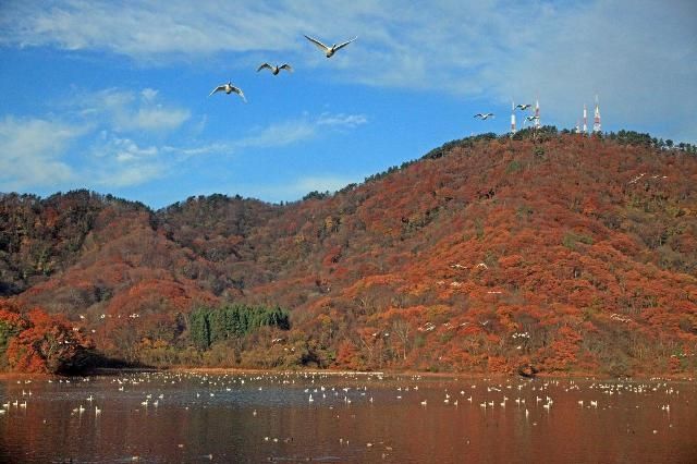 下池の朝