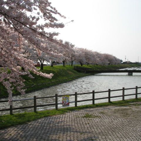 小出沼農村公園