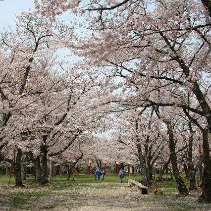 楯山公園